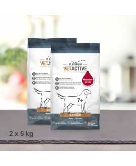10 kg PLATINUM Vetactive Senior Hundefoder