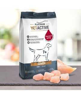 10 kg PLATINUM Vetactive Senior Hundefoder
